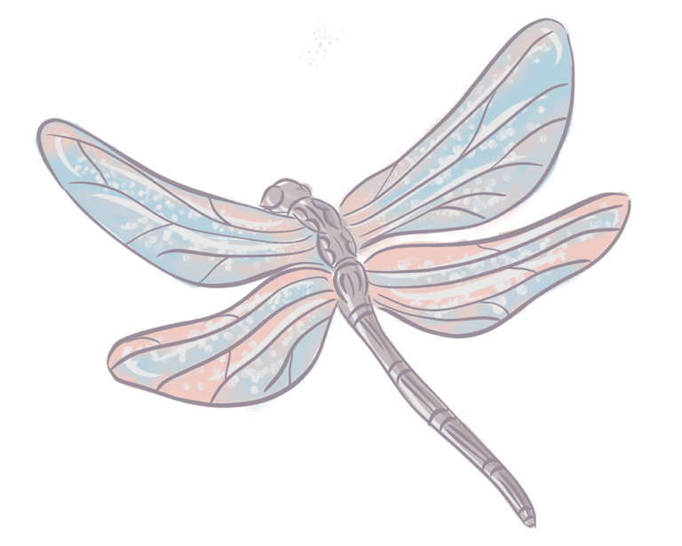 dragonfly 768x615 1